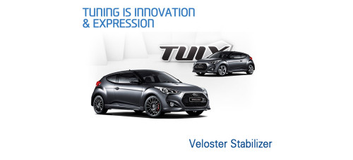 tuix dynamic pack stabilizer bar hyundai veloster 2011-17